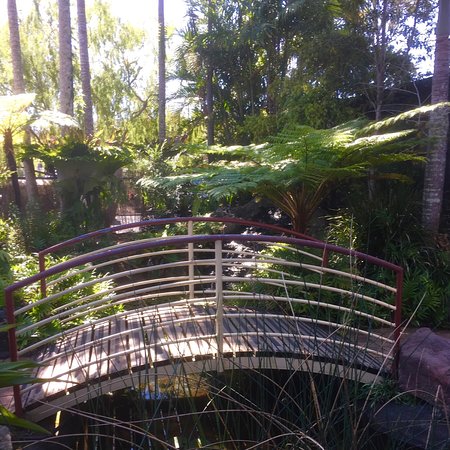 Lorikeet's Coffee Shop - Accommodation Australia 0