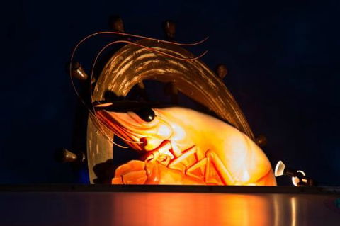 Seafood Market - Accommodation Australia 0