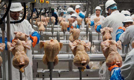 American children are working hazardous jobs – and it's about to get worse | Robert Reich