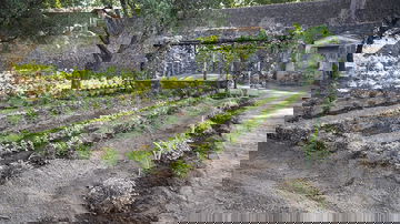 Ancient Roman 'perfume garden' blooms again nearly 1,900 years after Vesuvius eruption