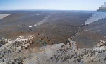Australia's emissions from land clearing likely far higher than claimed, analysis indicates - The Guardian