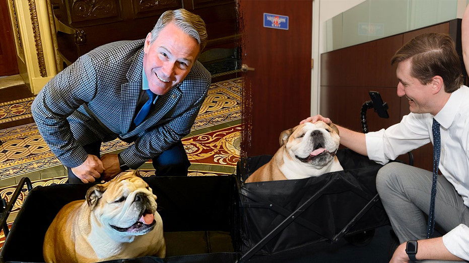 Babydog bridges 'pawtisan' divide in the Senate on social media: 'She knows no political bias'