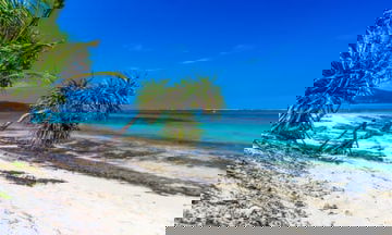 Bitcoin paradise? Briton creates ‘crypto utopia’ in South Pacific