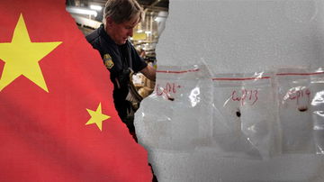 Chinese official claims no knowledge of fungus situation, says China requires citizens 'abide by local laws'