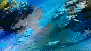 Divers discover 2,000-year-old shipwreck loaded with pristine ancient ceramics: 'Extremely valuable'
