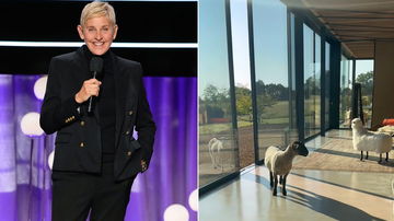 Ellen DeGeneres shows off English countryside home as sheep invade through open door