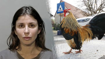 Fowl play: Florida woman charged after allegedly spraying mace at driver who struck chicken crossing the road