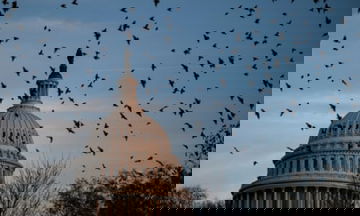 Funding bill to avoid US shutdown wins Senate support after vaccine standoff