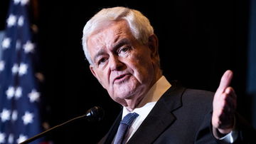 Gingrich warns 'very profound cultural civil war' underway, says Democrats doubling down on 'weird values'