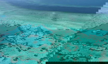 Great Barrier Reef could face another mass bleaching by end of January, forecast says