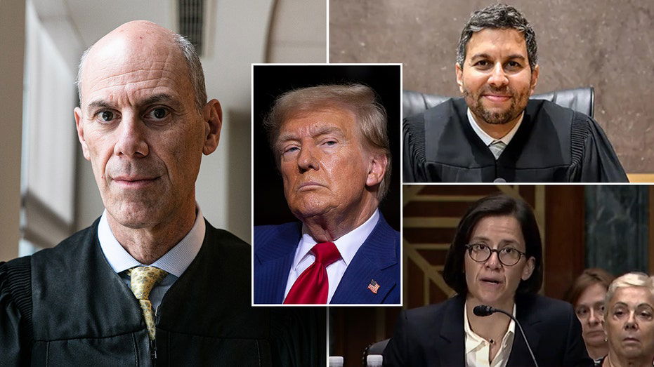 How Mike Johnson and Jim Jordan could hit back at judges blocking Trump's agenda