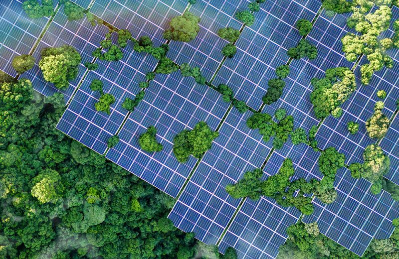 Is Solar Good For The Environment (Or Just A Government Scheme)?