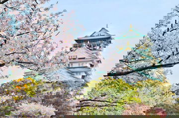 Japan faces its warmest autumn on record, impacting tourism: What new you need to know?