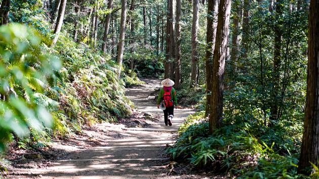 New WTTC Report Reveals Majority of Travelers Seeking Sustainable Travel