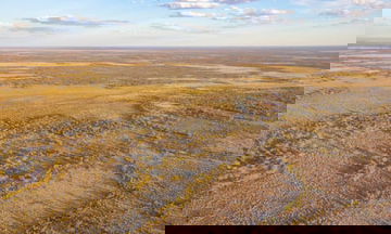 NSW to add two wetlands to national parks under 33,000ha land purchase