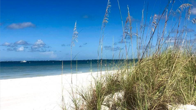 Red Tide Impacting Southwest Florida Beaches