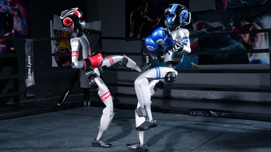 Robots step into the ring for a first-ever boxing match