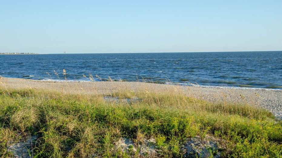 Teen run over by a truck while sunbathing on the beach