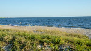 Teen run over by a truck while sunbathing on the beach