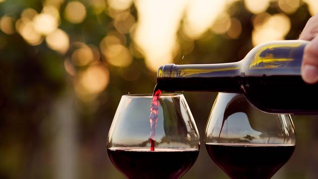 The Best Wine Destination for Visitors to Chile