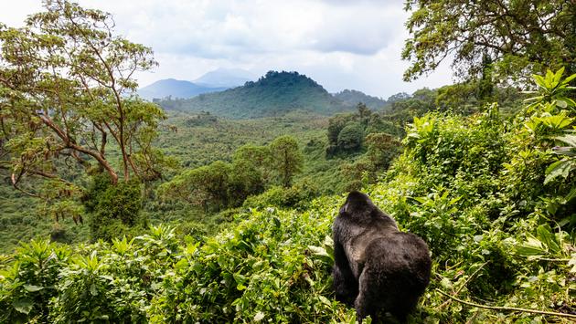 WTTC to Host Next Global Summit in Kigali, Rwanda in 2023