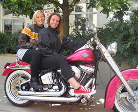 Wild Ride Harley and Motorcycle Tours Image