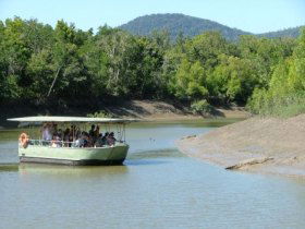 Whitsunday Crocodile Safari Image