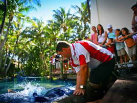 The Living Reef on Daydream Island Image