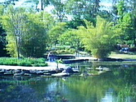 Summit Track Image