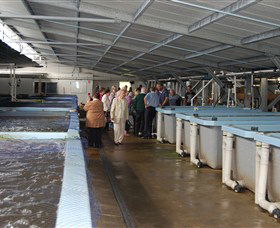 Tailor Made Fish Farms Image