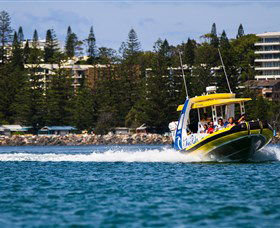 Portjet Image