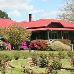 Stonelea Image