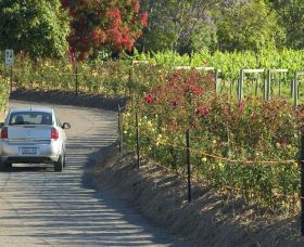 Cassegrain Wines Image