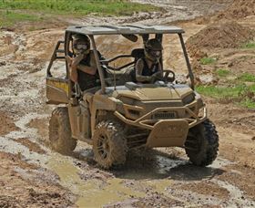 Wings Mini Four Wheel Drive Image