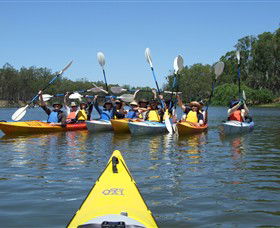 Action Bike & Ski Kayak Murray River Tours Image