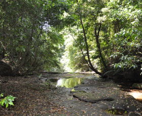 State Forests of the Watagan Mountains Image