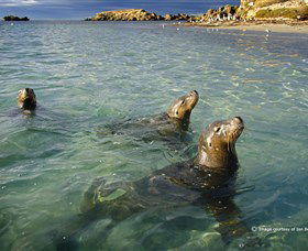 Shoalwater Islands Marine Park Image