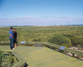 South Bay Image
