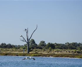 Mandurah Estuary and Peel Inlet Image
