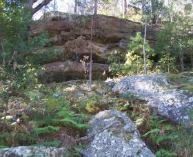 Bens Walk Image