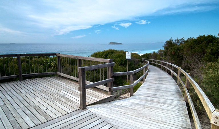 Tea Tree picnic area and lookout Image