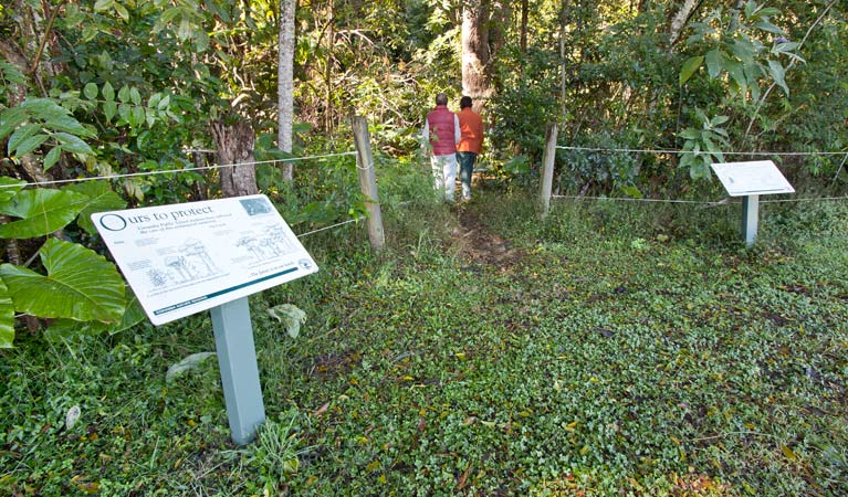 Coramba Nature Reserve Image
