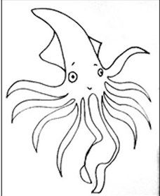 Squid Studio Image
