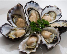 Tathra Oysters Image