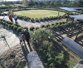 Kojonup Rose Maze Image