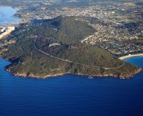 Padre White Lookout Image
