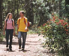 Munda Biddi Trail Image