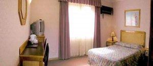 Golden Chain Ascot Motor Inn - Accommodation Australia 1