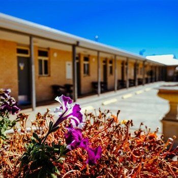 MAS Country Club Motor Inn - thumb 1