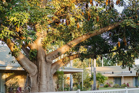 Kimberley Grande Resort & Conf Ctr - Holiday Sydney 0